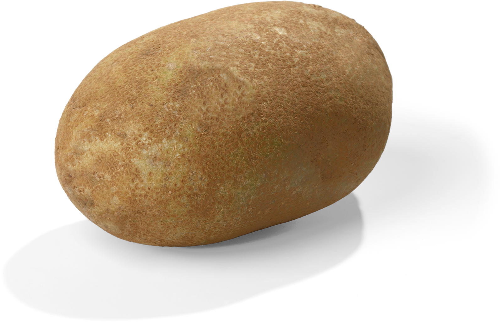 Potato - Isolated